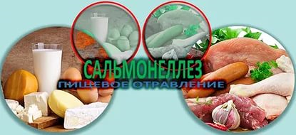 Salmonella3